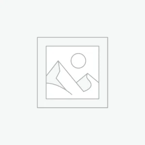 Alocasia Regal Shield